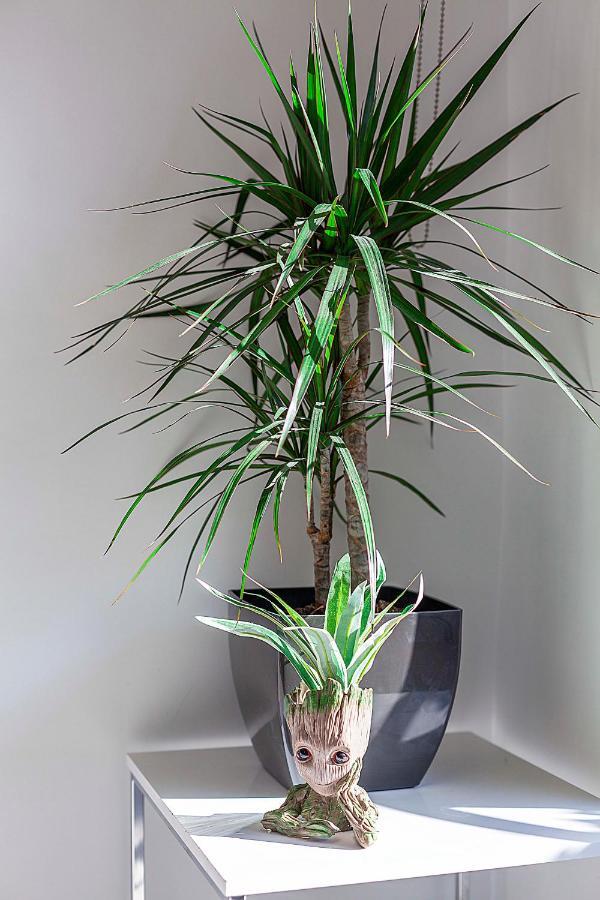 Great Apartment Granada City Centre エクステリア 写真